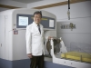 감마나이프 방사선 수술로 치료의 정확도를 높이다