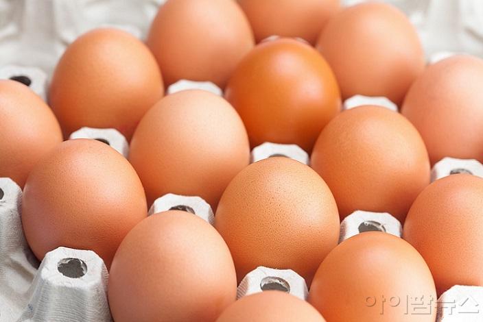 달걀 중 잔류 동물용의약품·농약 시험검사.jpg