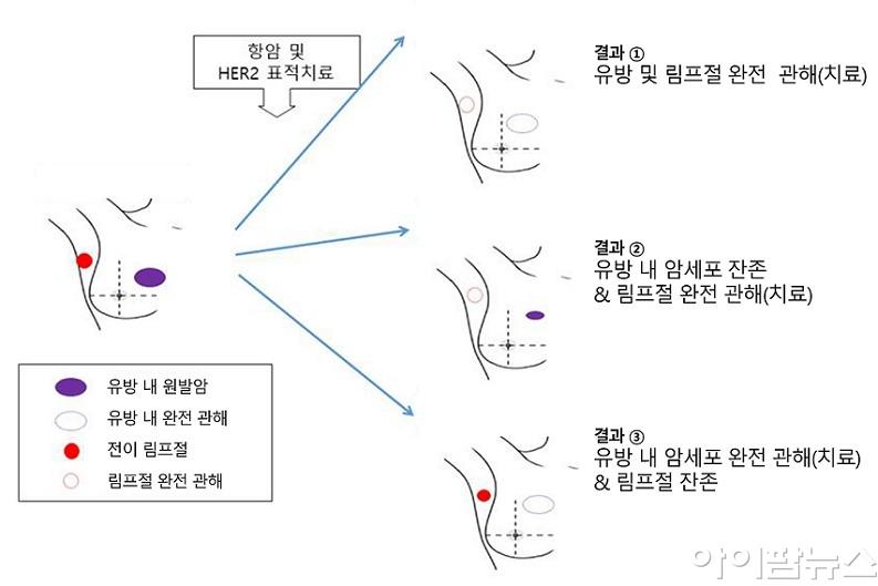 (그림1) 유방 및 림프절 관해(치료) 결과 예시.jpg